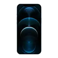 iPhone 12 Pro Max Repair